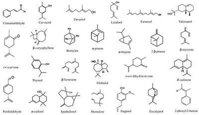 A review of food additives to control the proliferation and transmission of pathogenic microorganisms with emphasis on applications to raw meat-based diets for companion animals